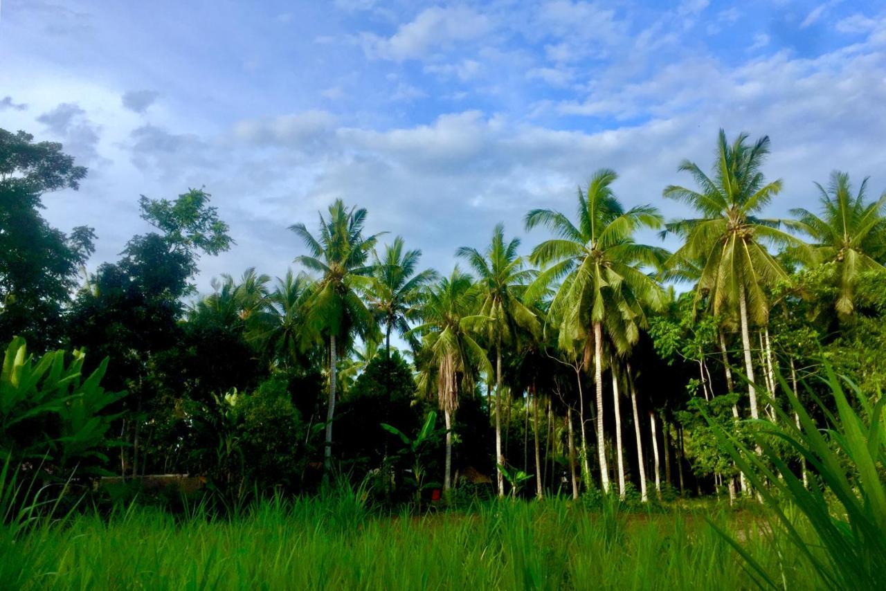 Chemel Homestay Kuta  Ngoại thất bức ảnh