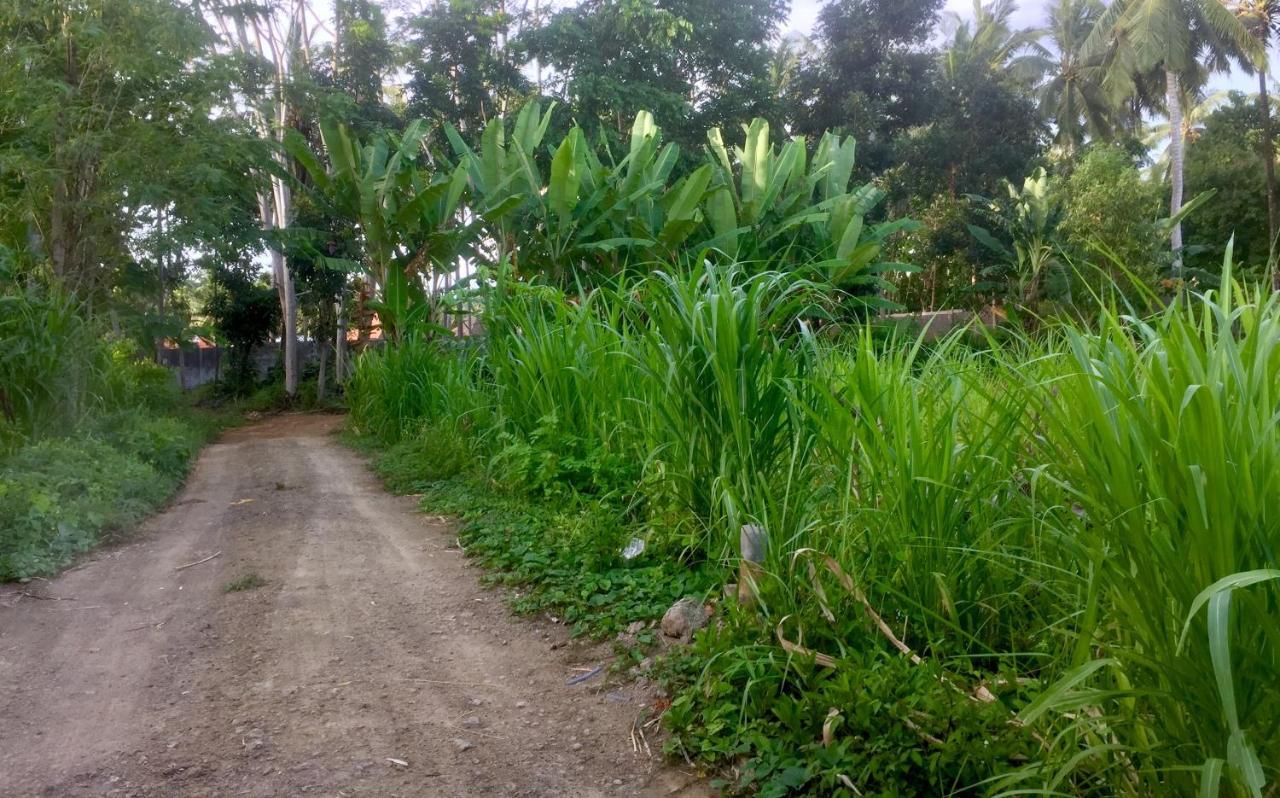 Chemel Homestay Kuta  Ngoại thất bức ảnh